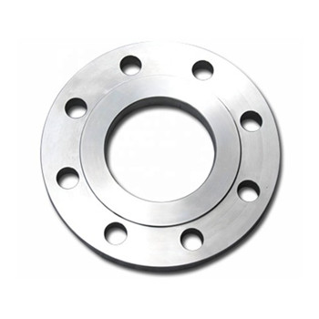 A182 F11 Cl600 Welded Neck Raise Face Stainless Steel Forged Flange 
