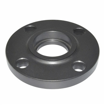 F53 Duplex Stainless Steel Forged Flange Wn Flange to ASME B16.5 (KT0093) 