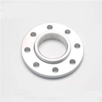 Class 900 # Flanges Joint Ring 