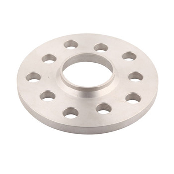 ASTM A182 F304 F316 Stainless Steel Forged Flange 
