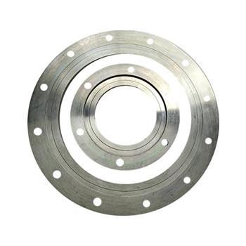 Flanges Stainless Steel Flanges (PL, BL, SO, WN) 