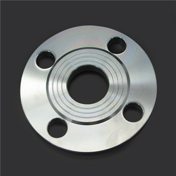GOST / DIN Standard Stainless Steel Forged Flange 