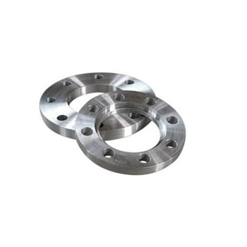 Flange Orifice ASTM A182 F316L Cl150 Stainless Steel 