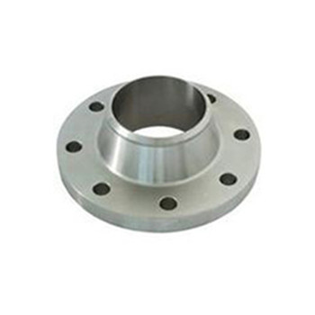A182 F316 Stainless Steel Flange 