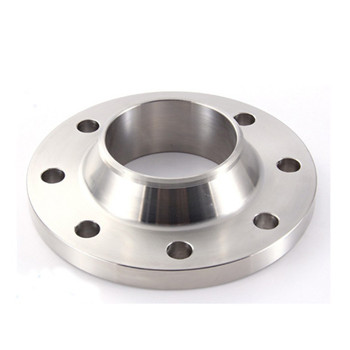 Ex-Factory Price DIN Standard Stainless Steel Forged Flange 