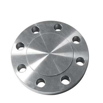 ASTM A694 F60 Carbon Steel / Stainless Steel / Alloy Steel Blind Flange 