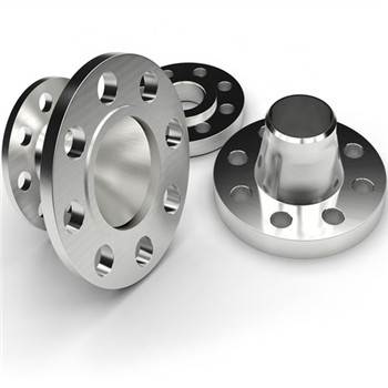 ASTM SA182 Stainless Steel F316 Flange 