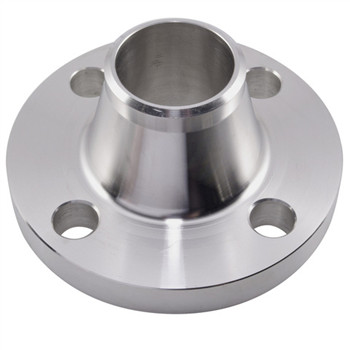 ANSI B16.5 Stainless Steel 300lb Flange Joint Lap Joint Lap Steeling 