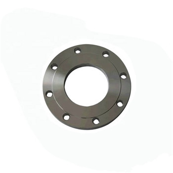 Carbon Steel A105 / P245gh / C22.8 Stainless Steel 304/316 Forged Flange 