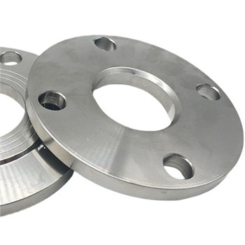 Flanges Stainless Steel OEM ASTM A182 F316L with Casting Precision 