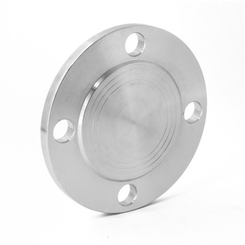 ASTM B16.5 A182 F316 F316L Flange Stainless Stainless Steel 