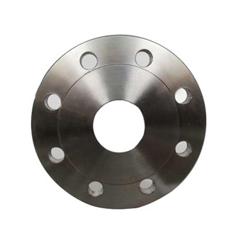 Stainless Steel SS304 Forged Flat Face FF Plane Flange 