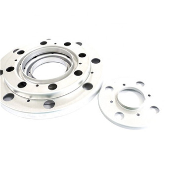 1.4845 Flange Stainless Steel 