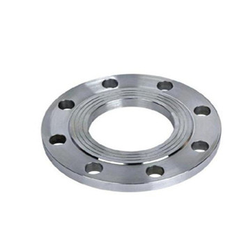 AISI304 Stainless Steel Sanitar Forged Plate Blind Flange 