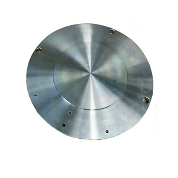 ASTM A182 F304L F316L Stainless Steel Inox Casting Flange Forged 