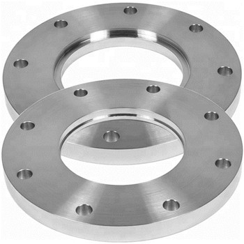 Flange Stainless Steel Flange - ANSI DIN EN1092-1 GOST 