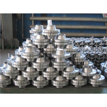 ASTM A182 F304 F316 Stainless Steel Forged Flange 