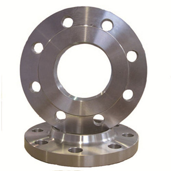 Stainless Steel ASME B16.5 ASTM A182 F310 Pipe Flange Fitting 