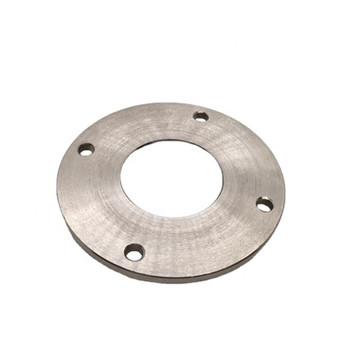 ASTM A183 F304 F316 Stainless Steel Flange 