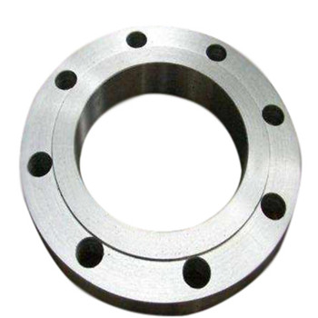 ASTM A182 F316 F316L F304 / F314L Stainless Steel Forged Flange 
