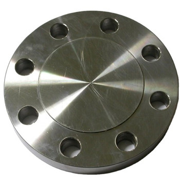 Densen Customized Stainless Steel 304 Silica Sol Investment Casting Blan Flange Blind Flange or Floor Flange Cdfl368 