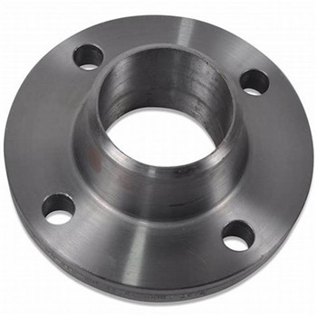 OEM ODM SUS304 / SUS316 Casting Flanges by Investment Casting 