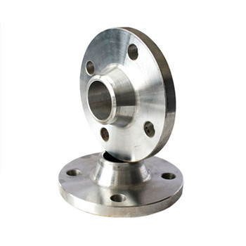 ASTM A182 F304L F316L Casting Forged Stainless Flange 