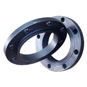 ANSI B16.5 304/316 Stainless Steel Forged RF / FF Flange 