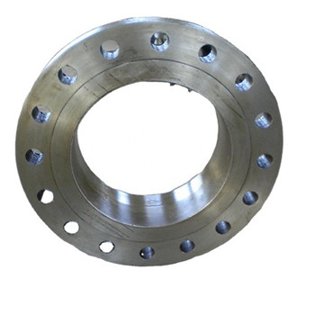 Fabrîkeya Stainless Stainless AISI304 / 316 Flange Forged 