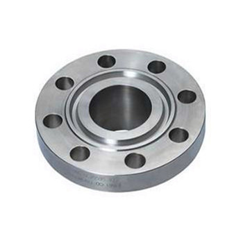 314 / 316L Stainless Steel Forged Blind Plant Flange 