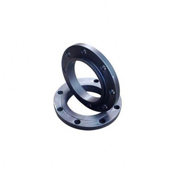 F61 / F53 / F55 / 2205/2507/2520 / 317L / 304/316 Stainless Steel Forged FF Blind Flange 